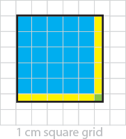 1cm square grid to help calculate the area of a shape.