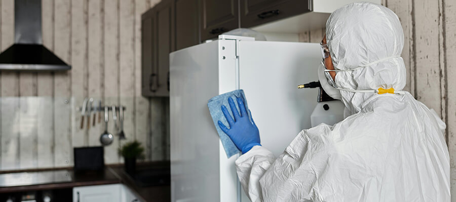 Pest control expert working in a kitchen.