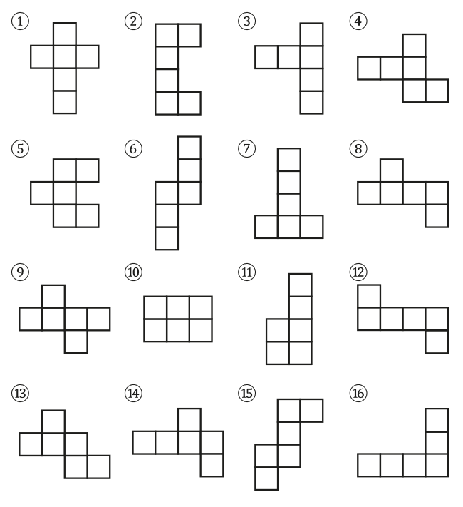 Cube nets 10 correct and 6 incorrect.