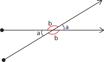 Demonstrating opposite angles where lines intersect.