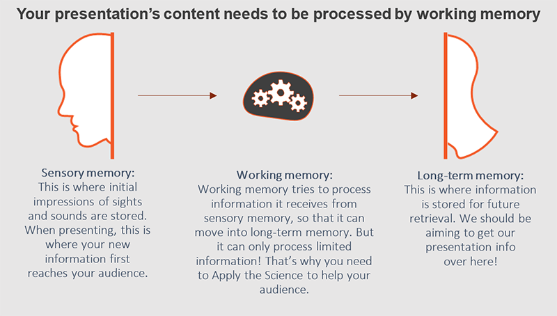 The content of your presentation needs to be processed by working memory